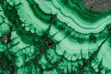 Flowery Polished Malachite Slab - D R Congo #379709-1